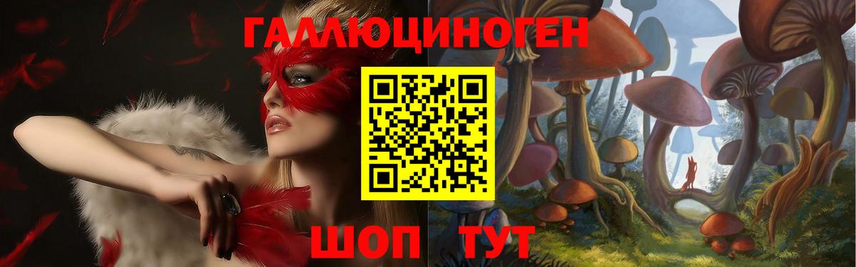 Псилоцибиновые грибы ЛСД  Вход с VPN  Ивантеевка  Галлюциногенные грибы Psilocybe 