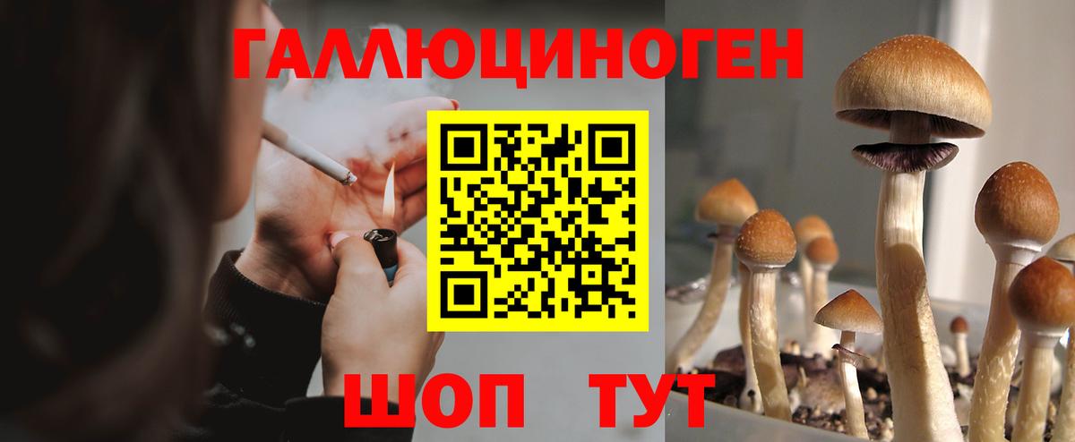 Галлюциногенные грибы Cubensis Ивантеевка